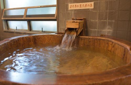 Shimabara Hotel | 島原ステーションホテル 花みずき