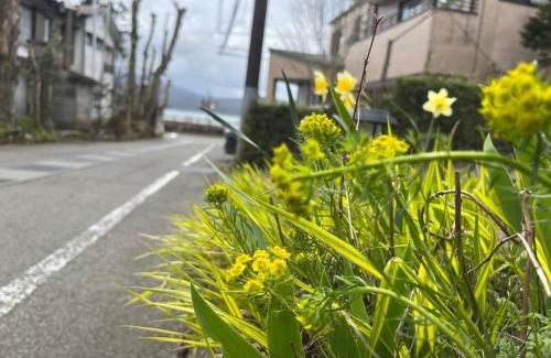 Yamanakako Hotel | 民宿 朝富士