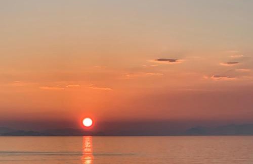 Iyo Casa | 民泊大森主屋