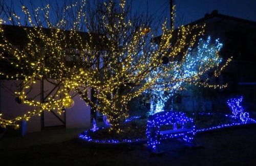 Iyo Casa | 民泊大森主屋