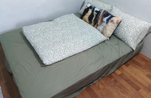 Chishang Apartamento | 池上兔兔