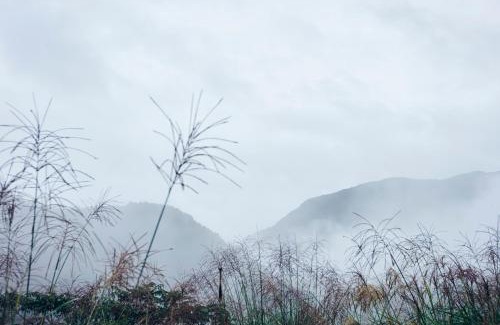 Minamata Hotel | 湯の鶴迎賓館鶴の屋Tsurunoya