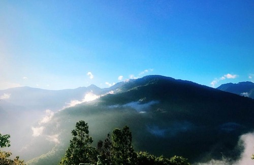 Fuxing District Casa | 熊居民宿Lala Mountain Bear Farm