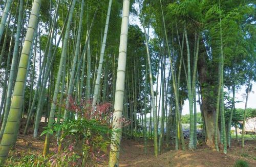 Otawara Casa | 黒羽別邸旧後藤邸