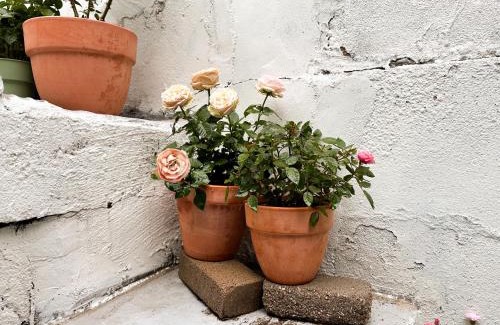 Seongbuk-gu Apartamento | 서울 성북 D'enough House