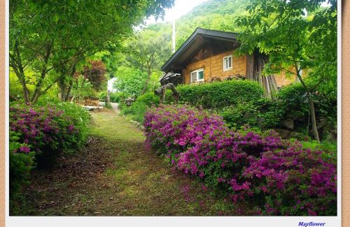 Eumseong Casa | 숲속 작은 황토집