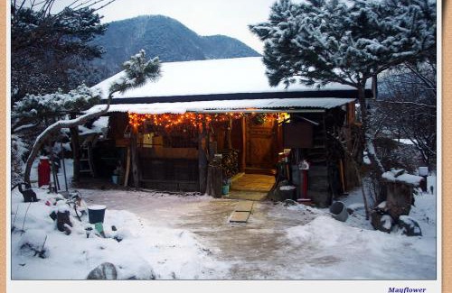 Eumseong Casa | 숲속 작은 황토집