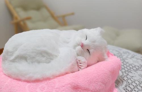 Jeonju Apartamento | #전주여행#한옥마을#객리단길#남부시장#장박할인