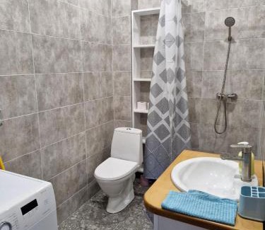 Polyana Apartamento | 1кімнатна квартира Поляна, Грін Парк, 2 поверх