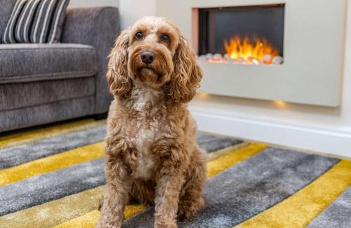 Lytham St. Anne's Casa | 1 Bed in Lytham 86044