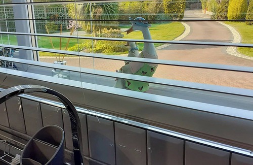 Galmpton Cabina | Alojamiento de 1 habitaciones en Churston Ferrers, near Brixham