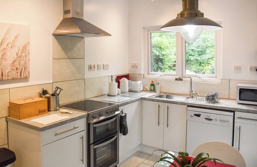 Denbigh Cabaña | Alojamiento de 1 habitaciones en Denbigh