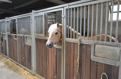 Juechen Casa | 1 bedroom apartment