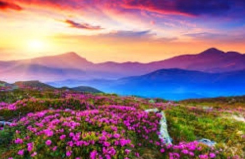 North Miami Cabaña | 1 bedroom Miami Beach Florida.