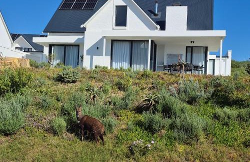 Saint Francis Bay Villa | 1 Villa Avenue, St Francis Links on the 18th