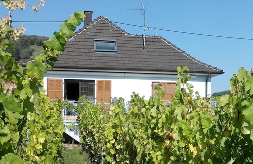 Kientzheim Cabaña | Rural-Confortable-Baño privado con ducha-Vista a la Montana
