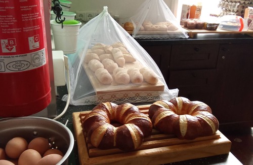 Utrecht Cama Y Desayuno | 16 bedded room