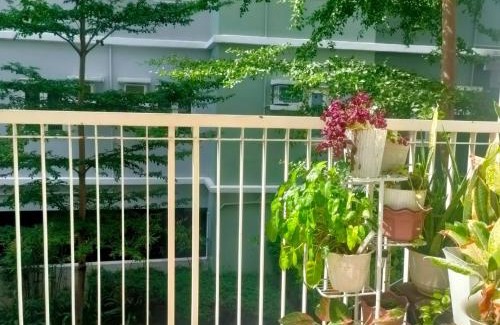 CSJDM Apartamento | 1BR at Trees with Balcony Quezon City