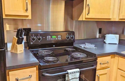 Downtown St. Louis Apartamento | 1BR with W&D Mins To America Center Downtown