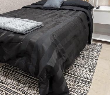 Old Seminole Heights Apartamento | 1o Minutes to Downtown Free Parking, AC