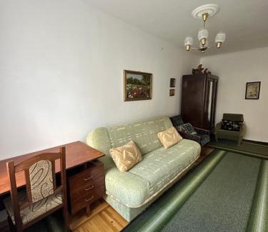 Truskavets Apartamento | 2 кімнатна квартира Трускавець,поруч центр та Дельфінарій