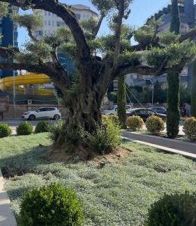 Tosmur Belediyesi Apartamento | 2-х комнатная квартира в ЖК класса Luxe, Тосмур