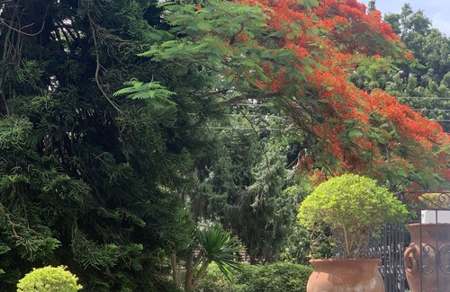 Greendale Cabaña | 2 bedroom cottage in the leafy suburb of Greendale
