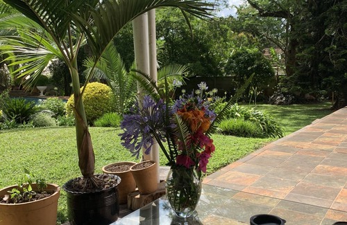 Greendale Cabaña | 2 bedroom cottage in the leafy suburb of Greendale