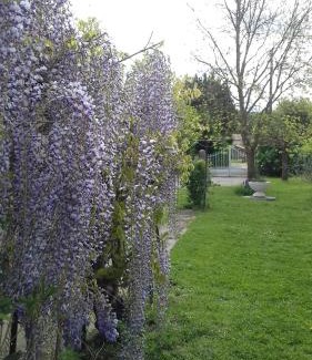 Lapeyrouse-Fossat Casa | 2 chambres lit140 et 2lits 90 dans villa10mn ligue de foot 13mn clinique l union 18mn golf Palmola