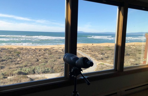 Castroville Casa | 28 segundos a pie de playa + 2 pases de acuario gratis