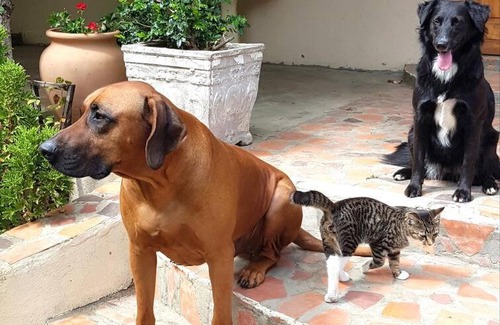 Barrydale Apartamento | 34 Steyn Street, Barrydale