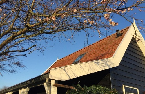 Sint Maartensdijk Casa | 4 persoons vakantiehuis De Zeeuwse Dijk Tholen Zeeland