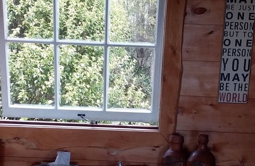 Waiotahi Cabina | Ohiwa Harbor Eco Retreat, - Cabaña costera de eco