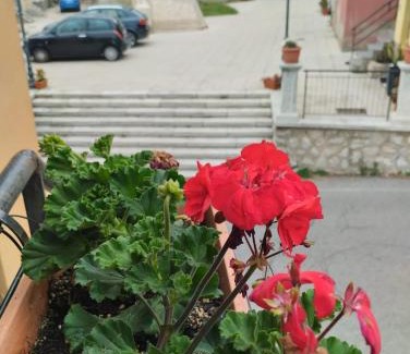 Motta San Giovanni Apartamento | 6 Kilometri dal Mare e dall'Aspromonte Motta San Giovanni Visita Canyon e Castello