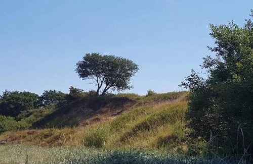 Middelfart Casa | 6 person holiday home in Brenderup Fyn-By Traum