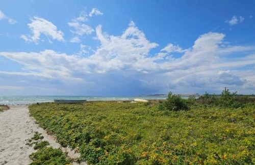 Skødshoved Strand Casa | 6 person holiday home in Knebel-By Traum