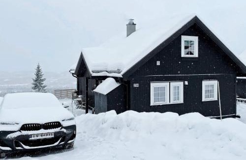 Rauland Casa | 7 person holiday home in Rauland-By Traum