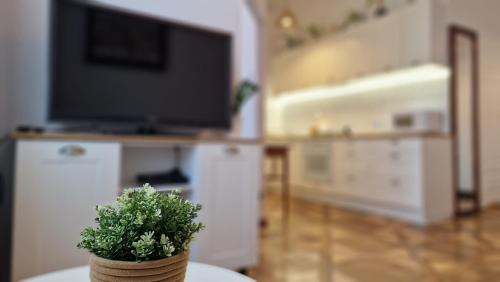 Przemysl Apartamento | 8 Przemyśl