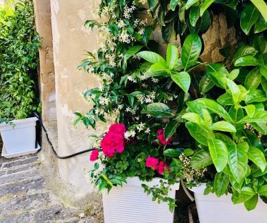 Palazzolo Acreide Historic Centre Casa | A casa da Anita