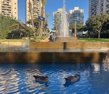 Ramat Gan Casa | A cozy room economy class in the central thriving area next to Shiba & Bar Ilan