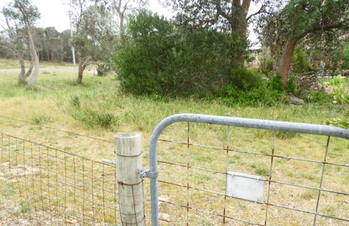 Paradise Beach Casa | “UNA CASA DE VACACIONES AMIGABLE PARA MASCOTAS EN EL PARAÍSO”
