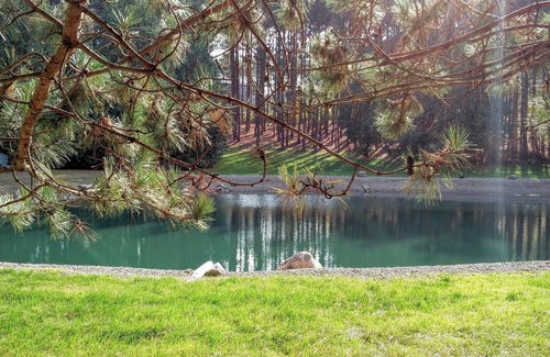 Mono Casa | A setting for a rustic wedding, family reunion or wellness retreat
