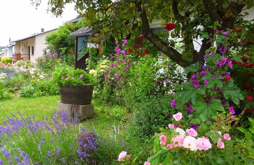 Ahorn Apartamento | A U S Z E I T - El oasis para sentirse bien en el terreno de construcción entre Odenwald y Taubertal