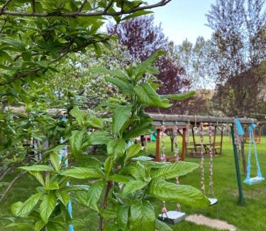 Dereceoren Casa | Abant Yeşil Vadi Koç Pansiyon