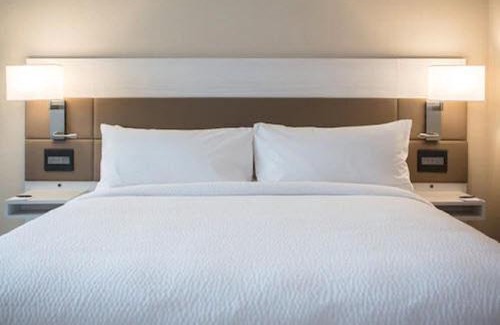 Downtown San Jose Hotel | AC Hotel by Marriott San Jose Downtown