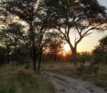 Maun Otro | Acacia Camping