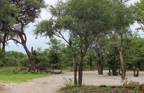 Maun Otro | Acacia Camping