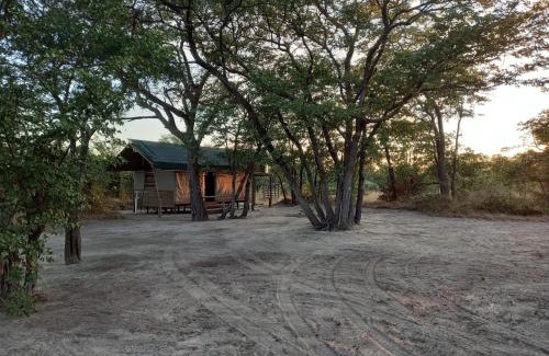 Maun Otro | Acacia Camping