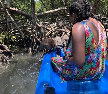 Bocachica Hotel | AcapulcoBeach