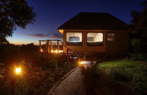 Paterson Cabina | Addo Elephant Safari Lodge - Bellevue Forest Reserve